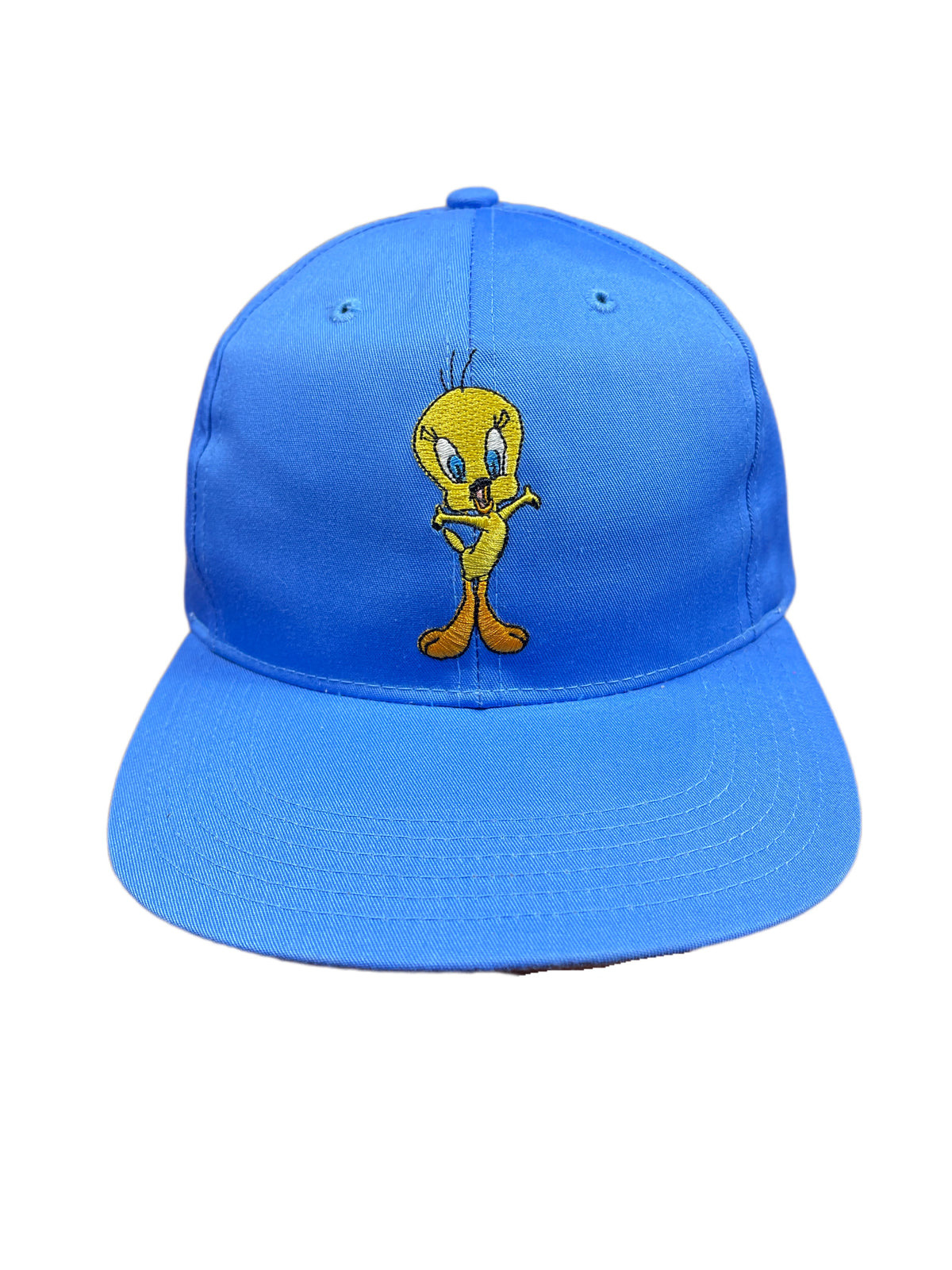Vintage Tweety 1996 Looney Tunes Warner Bros Cap Blue